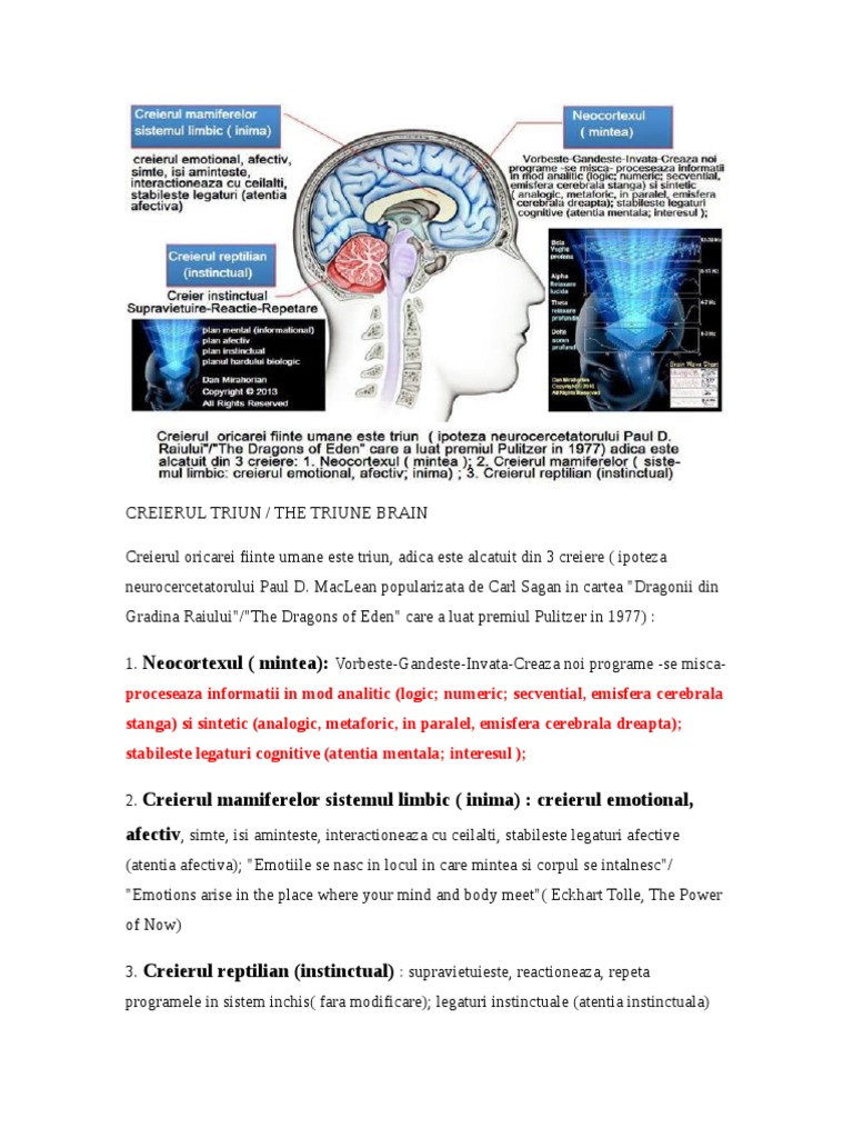 Understanding the Triune Brain Model | PDF