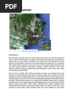 Download Delta Mahakam by Yogi Eriawan SN228515835 doc pdf