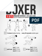 Boxer Workout