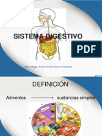 Sistema Digestivo Actual