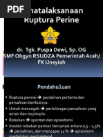 Download Ruptur Perineumpdf by Avicenna_MSC SN228532115 doc pdf