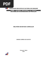 Relatorio de Estagio Simone