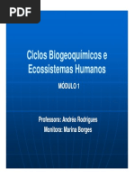Aula7_Ciclos_Biogeoqumicos