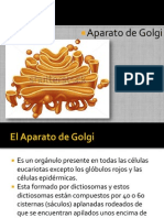 Función y estructura del aparato de Golgi