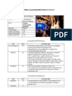 Fișă de Evaluare A Geomorfositului Peștera Lui Epuran