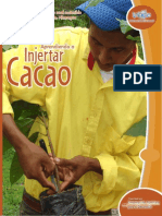 19 Aprendiendo a Injertar Cacao