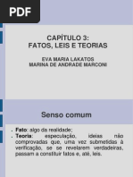 Fatos Leis Teoria (1)