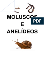 Apostila Biologia