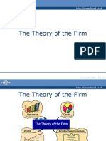 The Theory of The Firm