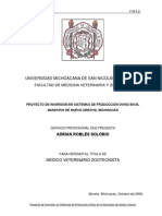 Proyecto de Inversion en Sistemas de Produccion Ovino en El Municipio de Nuevo Urecho, Michoacan