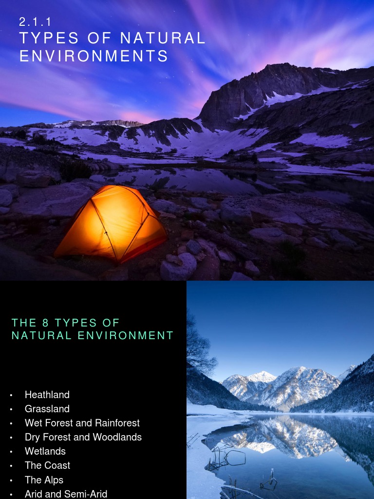 Types of Natural Environments Explained | PDF | Grassland | Natural ...