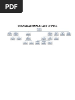 Download Organizational Chart Ptcl by Aamir Raza SN22861550 doc pdf