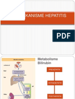 Patomekanisme Hepatitis