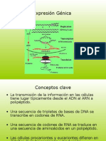 Información Genetica