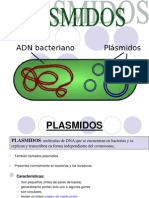 Plã¡smidos (1)