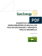 Diagnostico Sector Hidrocarburos de Bolivia