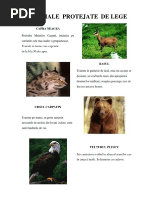 Animale Si Plante Protejate