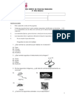 Evaluación N3 Ciencias para 4 Básico