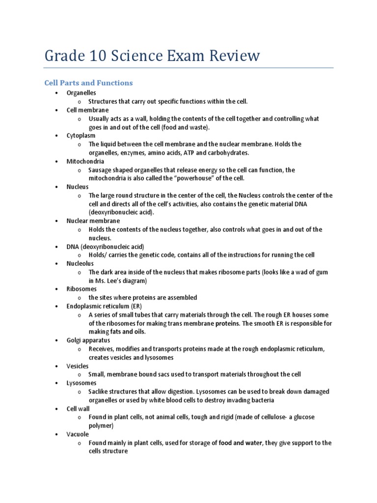  grade 10 science exam review 2 pdf mitosis refraction