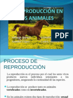 Reproduccion en Animales v3
