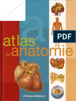 Atlas de Anatomie Ilustrat