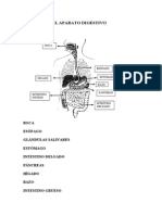 Apuntes Anatomia 4 Angeles