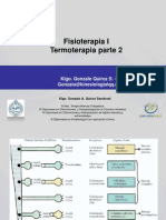 104 Termoterapia 2