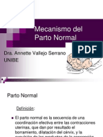 Mecanismo Del Parto Normal