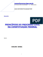 Pc-Principios Processo Civil