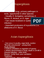 Aspergillosis: Flavus, A. Terreus, or A. Niger