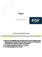 Algae: Eko Heryadi