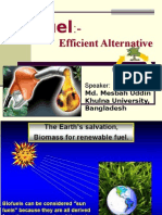 BioFuel- efficient alternative