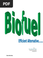 Download BioFuel by api-26998277 SN22871315 doc pdf