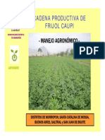 Capacitacion Caupi Juan PDF