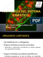 5 Histologc3ada Del Sistema Linfc3a1tico