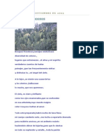 Bosques Frondosos 05-11