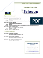 Curriculum Vitae Modelo1 Verde