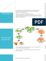 Procesos. Biotecnologicos (Copia en Conflicto de Cristina Martinez 2014-04-07)