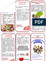 Triptico PDF