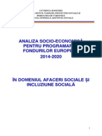 Mmfpspv Analiza Afaceri Sociale Si Incluziune Sociala