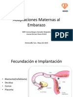 Adaptaciones Maternas Al Embarazo