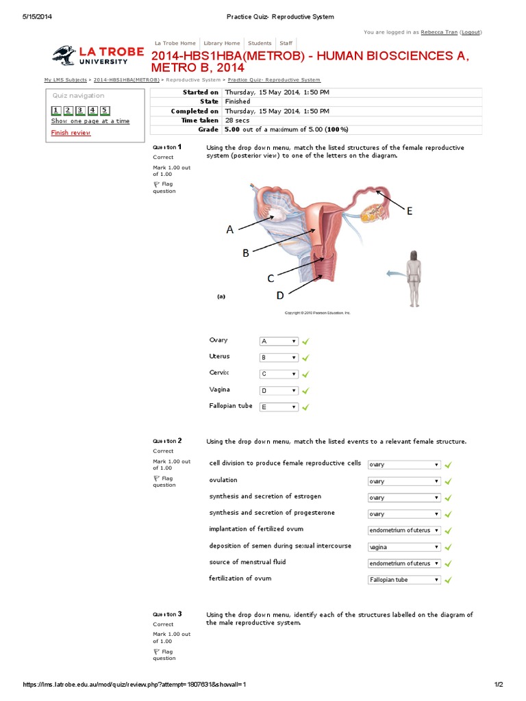 Practice Quiz Reproductive System Reproductive System Ovary Free
