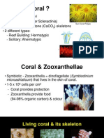 Coral Reefs7984