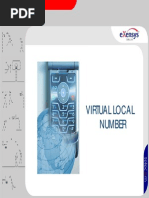 Virtual Local Number