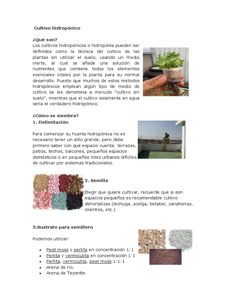 Cultivo Hidroponico Pdf