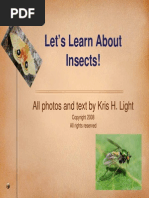 Let's Learn About Insects!: All Photos and Text by Kris H. Light