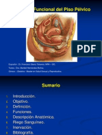 Anatomia Funcional Del Piso Pelvico