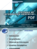 Sistema de Informacion Gerencial 18117