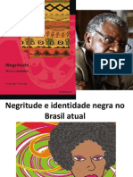 Negritude Usos e Sentidos