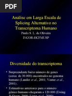 MapeamentodeTranscritos